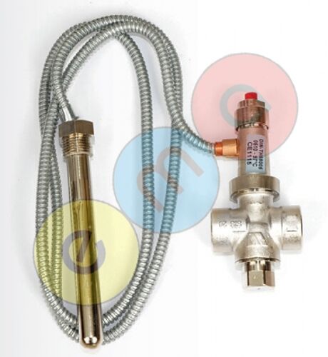 WATTS STS 20 232125 OTOMATİK EMNİYET VENTİLİ