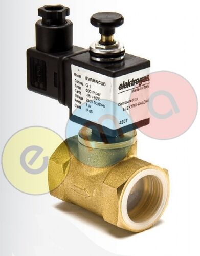 ELEKTROGAS EVRMNA1-OT SOLENOİD VALF