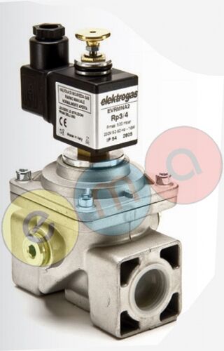 ELEKTROGAS EVRMNA4 SOLENOİD VALF